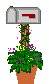mailbox