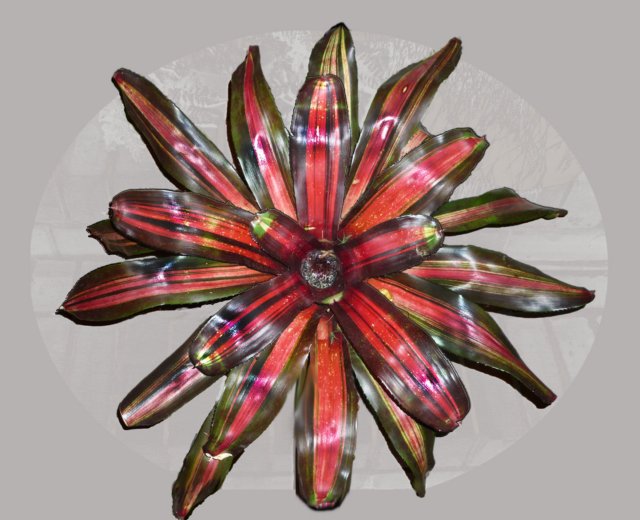red_plant