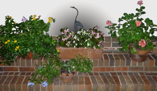 plants_on_steps